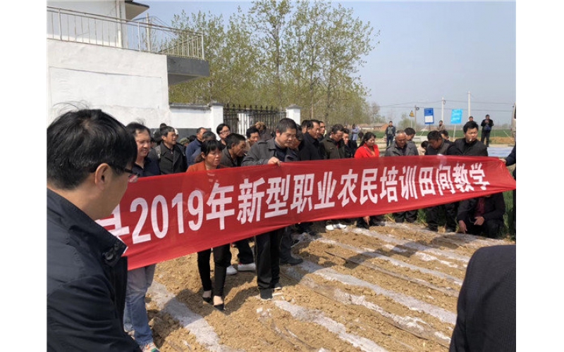 山東臨沭東泰機(jī)械助力江蘇省泗洪縣2019年花生產(chǎn)業(yè)發(fā)展！